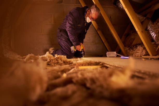 Best Cellulose Insulation in Enterprise, UT